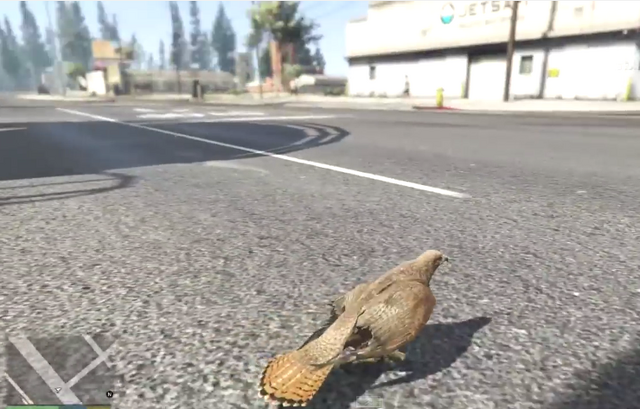 File:Hawk-GTAV-PS4-PeyotePlant.png