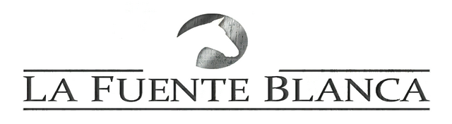 File:LaFuenteBlanca-GTAV-Logo.png