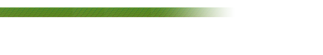 File:GTA WikiNews.png