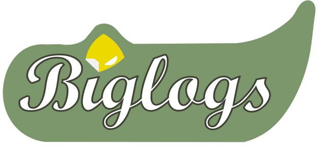 File:BigLogs-Logo.png