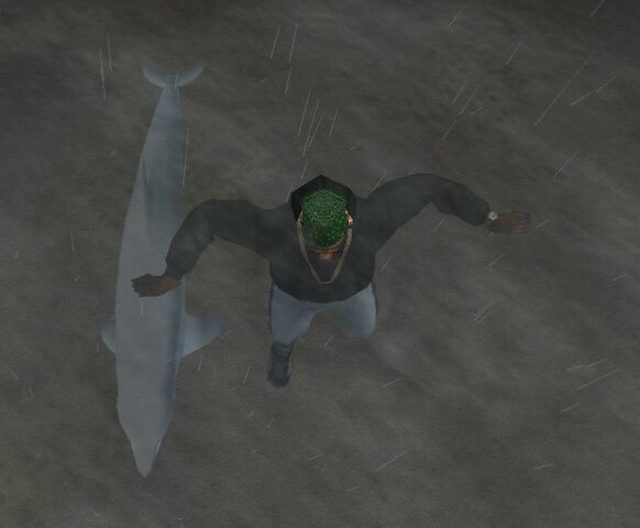 File:Dolphin-GTASA.jpg