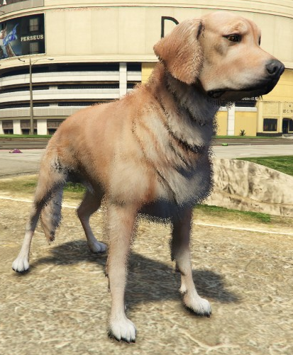File:GoldenRetriever-GTAV.png