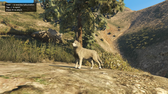File:Peyote Plants Animals GTAVe Husky.png