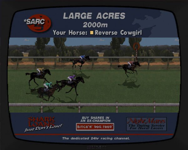 File:Inside Track-GTASA-race.jpg