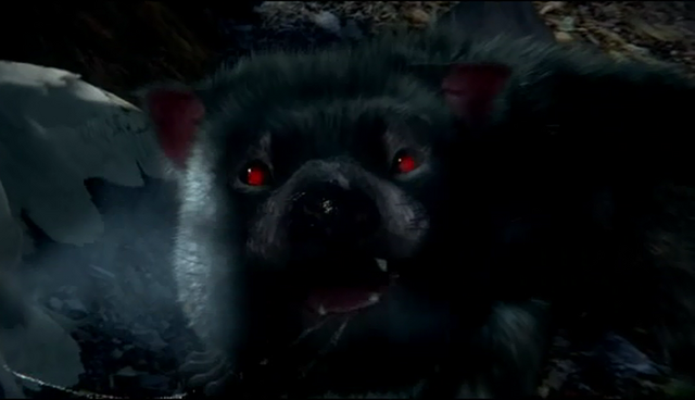File:TasmanianDevilOwlsofGahooleCap.png
