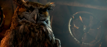 Bubo 2-0