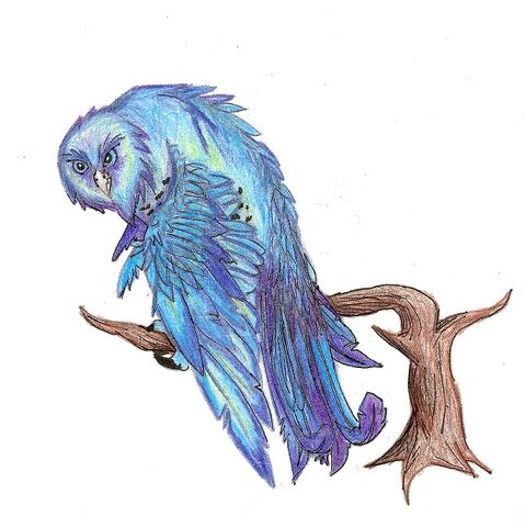 File:Dragon owl.jpg