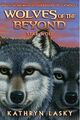 Thumbnail for version as of 22:14, November 18, 2012