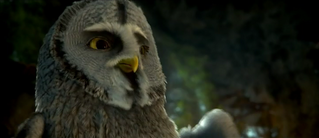 File:TwilightCapOwlsofGahoole.png