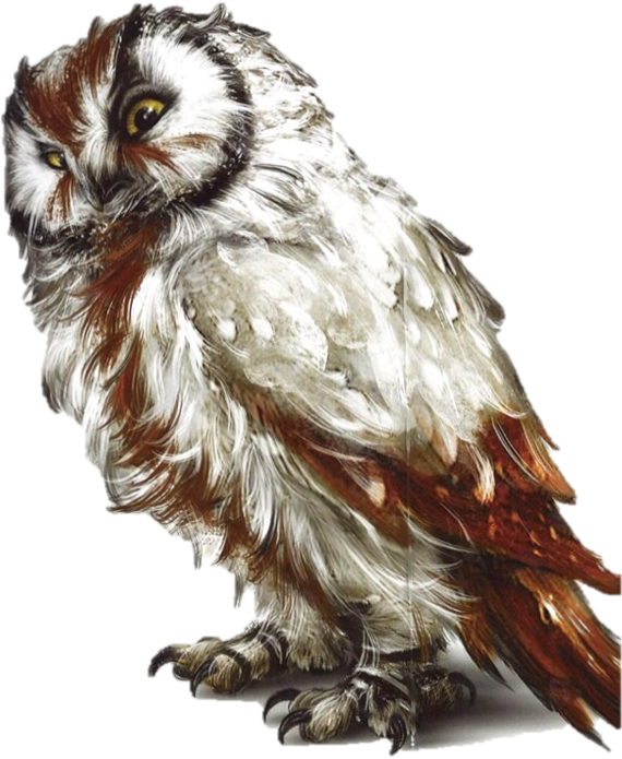 File:Grimble.png