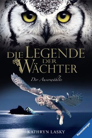 File:De cover 10.jpg
