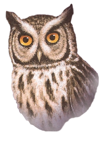 File:Spoorn.png