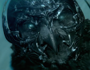 Ice claw099400