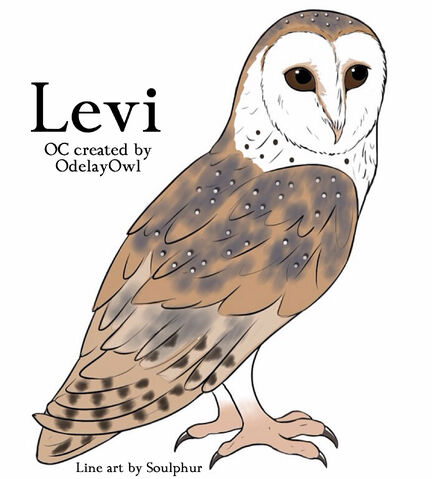 File:Leviii2.jpg