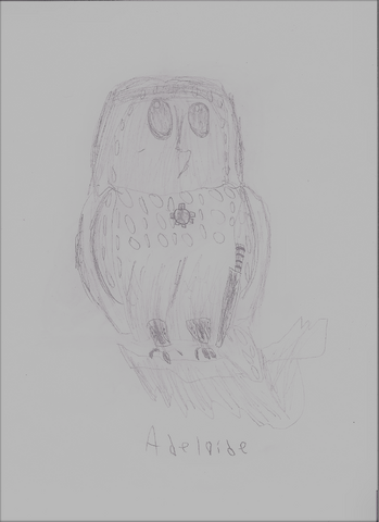 File:Scan 20170110.png