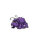 Bug