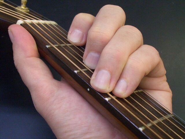 File:Frets.jpg