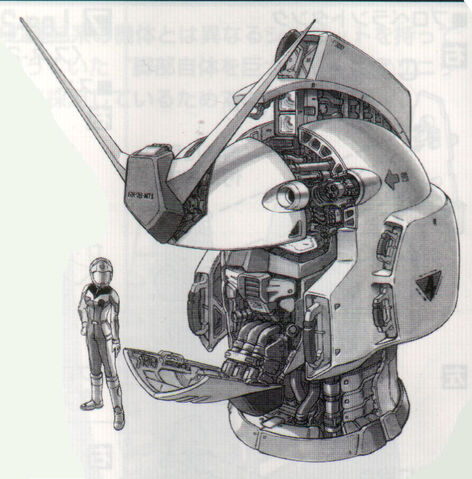 File:NT-head.jpg