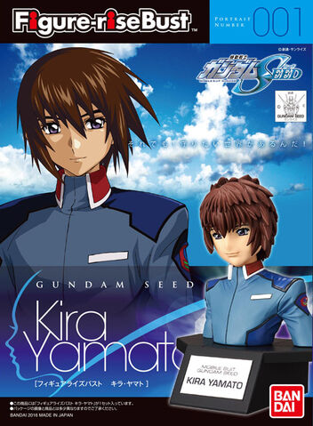 File:Figure-rise Bust-Kira Yamato.jpg