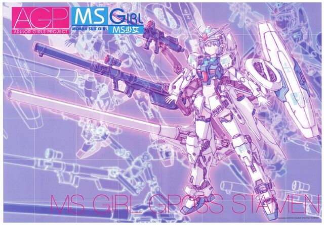File:ARMOR GIRLS PROJECT.jpeg