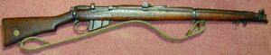 Smle303
