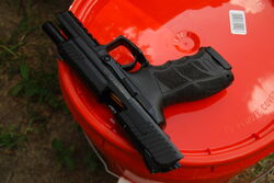 Pr P30L2