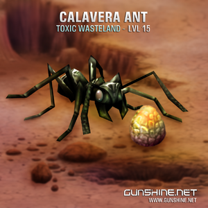 Calavera ant