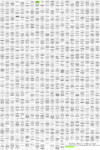 Thumb Brockhaus 1990 (11).png