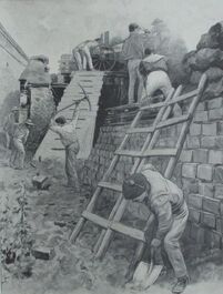 Ap5522.jpg