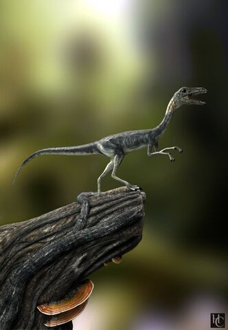 File:Compsognathus.jpg