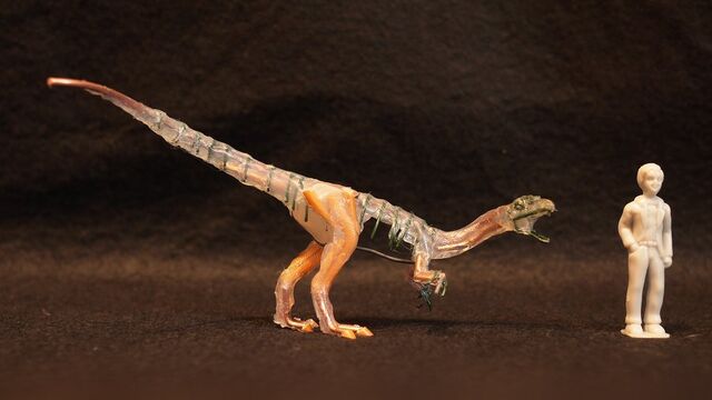 File:Elaphrosaurus.jpg