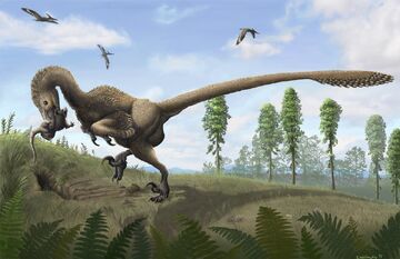 Saurornitholestes