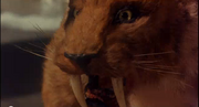 Smilodon2