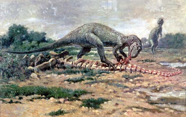 File:Allosaurid.jpg