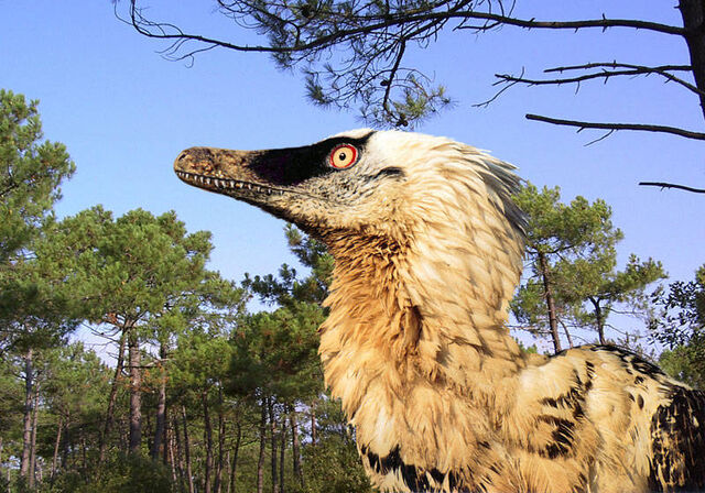 File:Velociraptor.jpg
