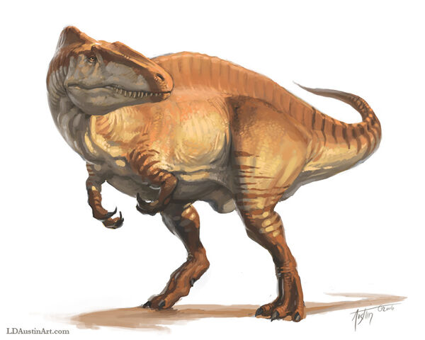 File:Acrocanthosaurus.jpg