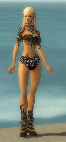 File:Ritualist Monument Armor F gray chest feet front.jpg