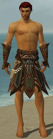 File:Ritualist Monument Armor M gray arms legs front.jpg