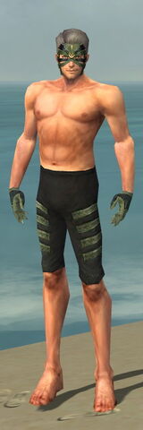 File:Mesmer Elite Kurzick Armor M gray arms legs front.jpg