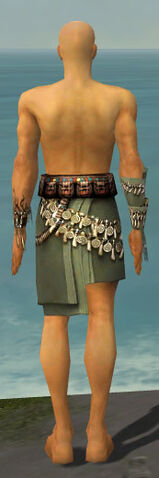 File:Ritualist Canthan Armor M gray arms legs back.jpg
