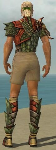 File:Ranger Elite Drakescale Armor M gray chest feet back.jpg