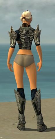 File:Warrior Elite Sunspear Armor F gray chest feet back.jpg