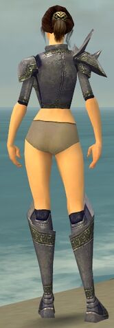 File:Warrior Platemail Armor F gray chest feet back.jpg