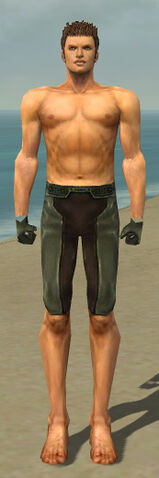File:Mesmer Istani Armor M gray arms legs front.jpg