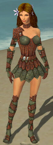 File:Ranger Studded Leather Armor F gray front.jpg
