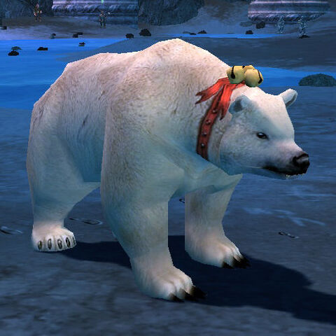 File:User Garreth MacLeod MacFluffball.jpg