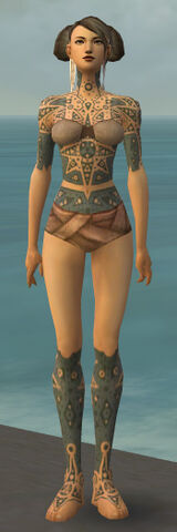 File:Monk Star Armor F gray chest feet front.jpg