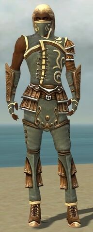 File:Ranger Shing Jea Armor M gray front.jpg