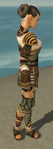 File:Monk Elite Canthan Armor F gray side.jpg