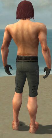 File:Mesmer Obsidian Armor M gray arms legs back.jpg